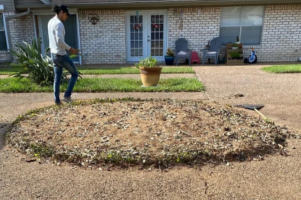 How to Prepare Your Yard Before Land Clearing in Harlingen