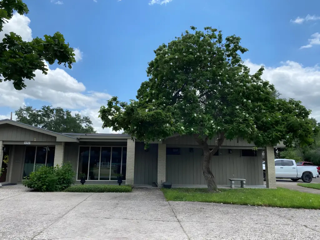 How Tree Roots Can Damage Foundations In Harlingen