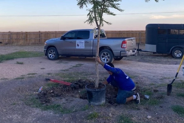 Planting