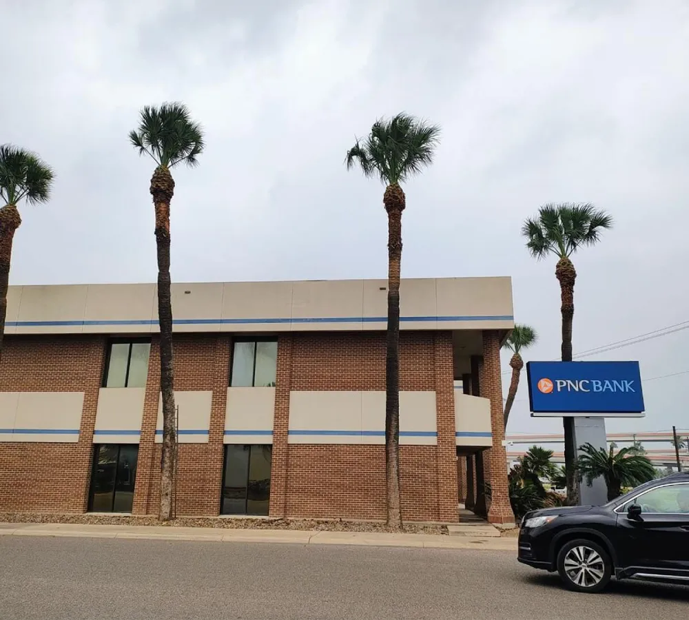 Gold Tree Trimming LLC services properties with safe tree removal near parked vehicles.